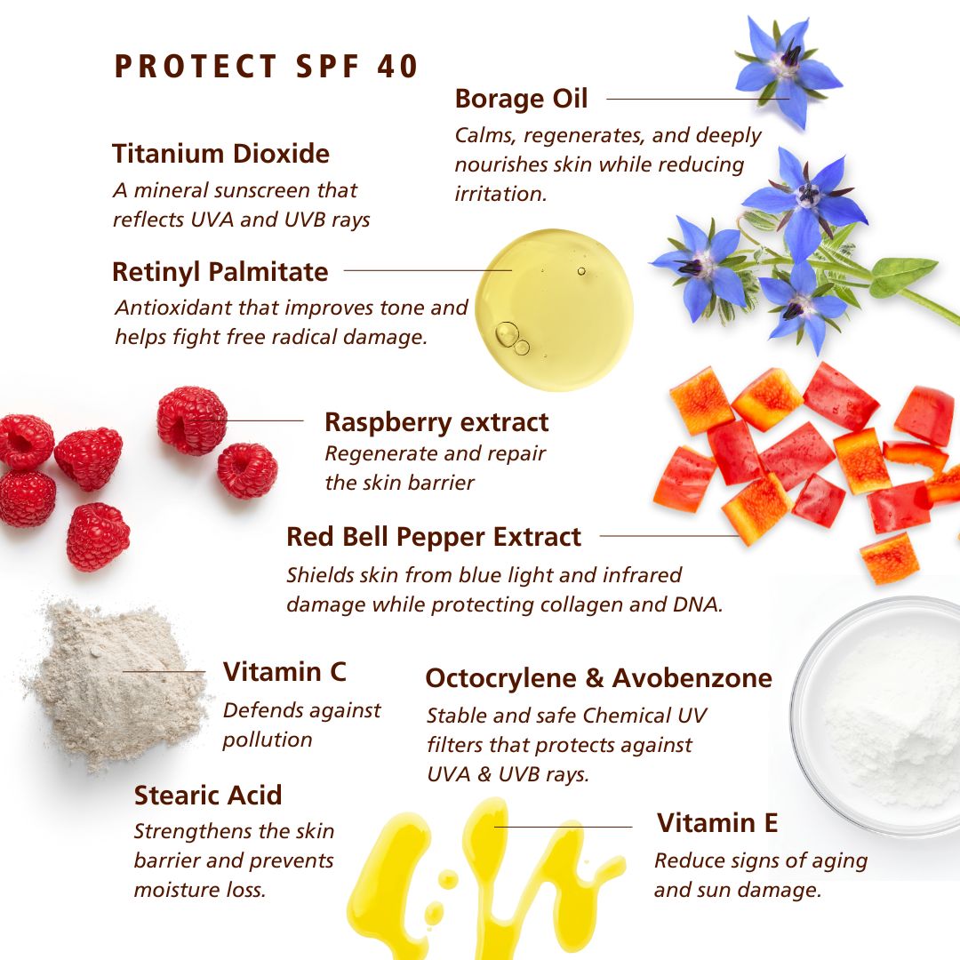 An informational ingredient graphic for an SPF 40 sunscreen product on a white background. The top text reads 'PROTECT SPF 40' and lists several ingredients with descriptions: Titanium Dioxide, Retinyl Palmitate, Raspberry extract, Red Bell Pepper Extract, Vitamin C, Stearic Acid, Borage Oil, and Octocylene & Avobenzone, alongside small photos of the ingredients including blue flowers, raspberries, oil, powder, and a yellow smear.