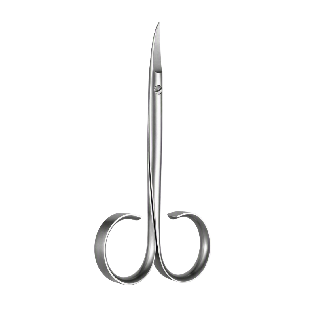 A pair of Rubis metallic silver nail scissors with a sleek, curved design and sharp pointed blades, isolated on a solid white background.